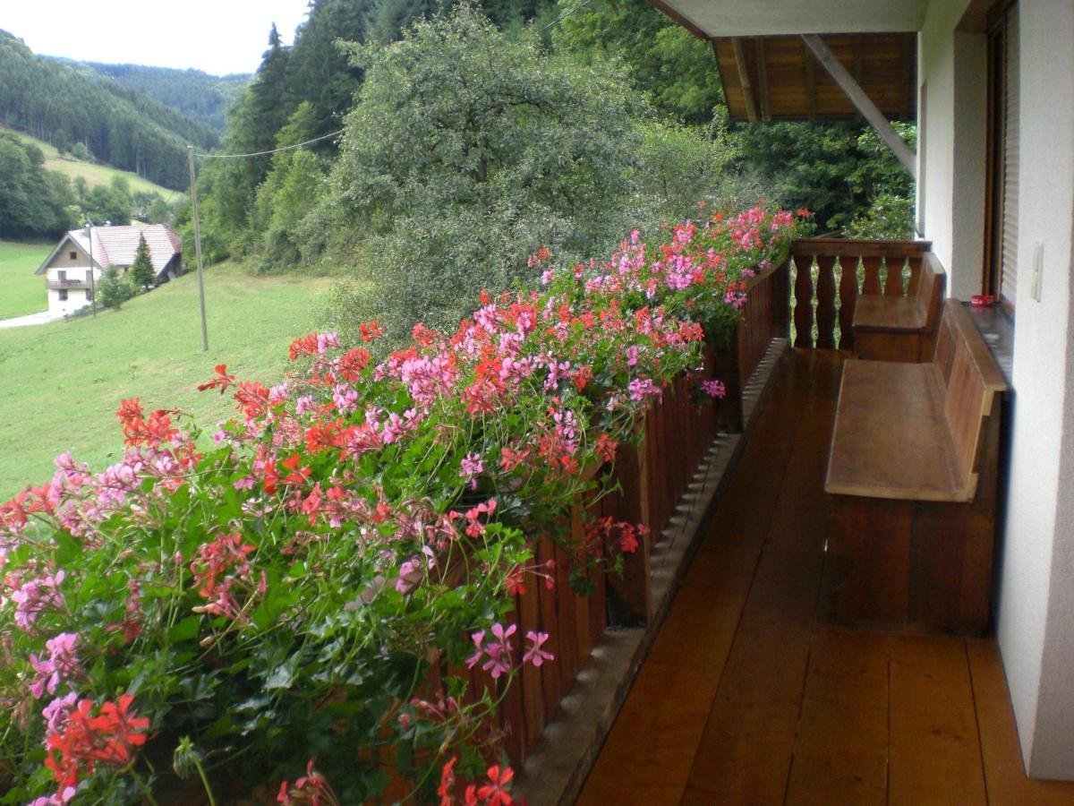 Geigerbauernhof Apartment Muehlenbach ภายนอก รูปภาพ