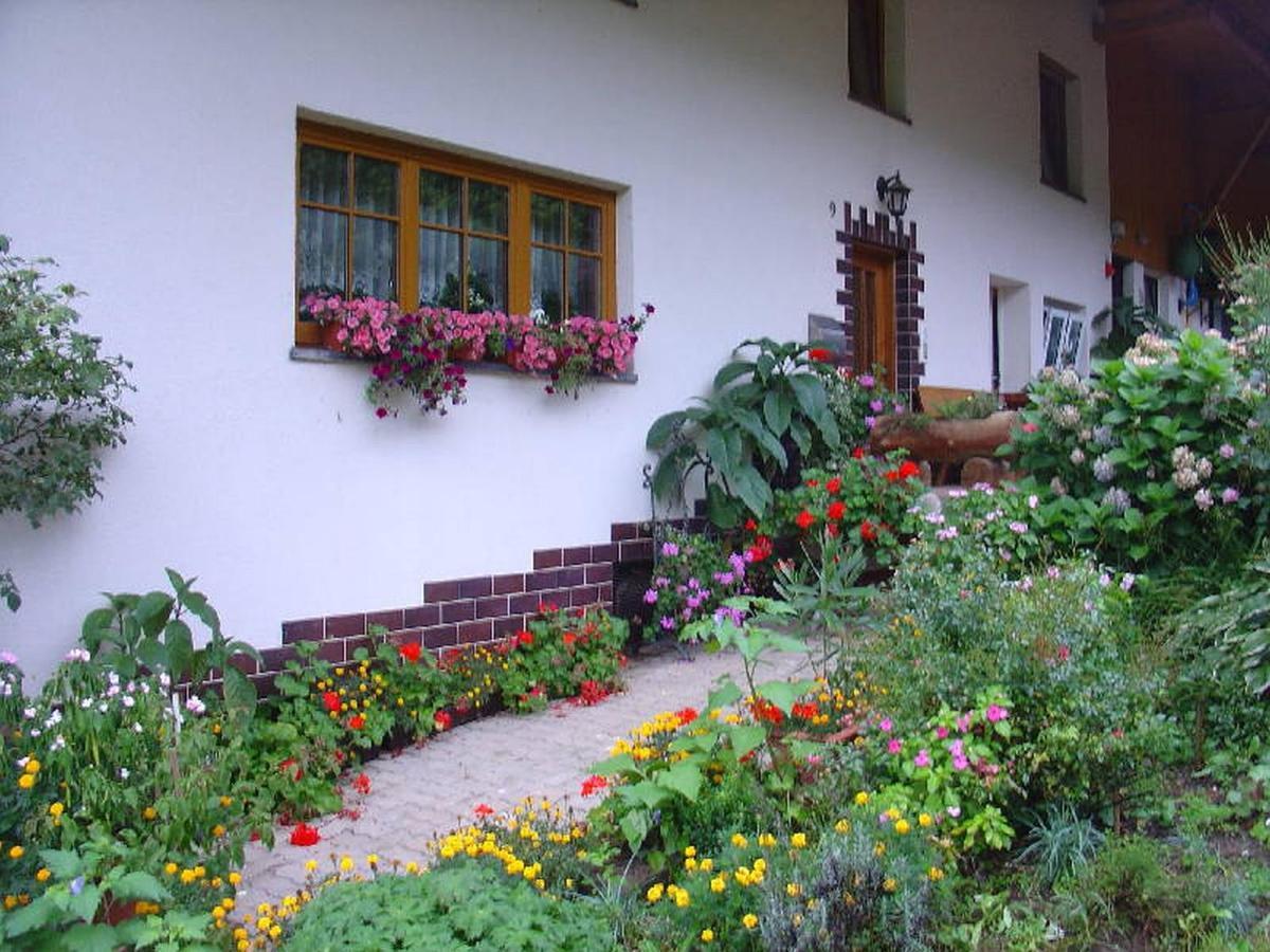 Geigerbauernhof Apartment Muehlenbach ภายนอก รูปภาพ